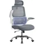 Ergonomic Design High Back Desk Chair