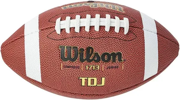 Wilson Composite Youth Football TDY