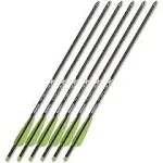 Bear x 6-Pack Truex Crossbow Bolts Arrows - 20"