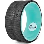 CHIRP 10 inch Wheel Plus