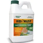 American Hydro Systems RR2 Rid O' Rust Extreme Water Rust Preventer, 1