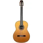 Cordoba C10 CD Luthier Series All-Solid Wood Traditional Classical Guitar w/Case