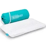 BLISSBURY Thin 2.6" Stomach Sleeping Memory Foam Pillow. Slim, Flat, Cooling Sleep for Belly or Back with Soft Bamboo Washable Cover, Neck and Head S