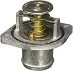 Motorcraft Thermostat