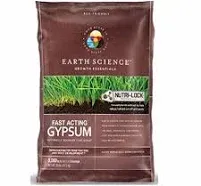 Earth Science Fast Acting Gypsum