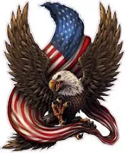 United States waving American Flag bald Eagle Decal