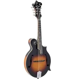 The Loar LM-600 Professional F-Style Mandolin