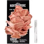 North Spore Organic Pink Oyster Mushroom Spray & Grow Kit