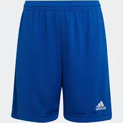 NWT Adidas Football/Socce<wbr/>r Shorts Boys Size XL Fits 15-16 Year Old White