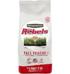 Pennington Rebels Tall Fescue Grass Seed