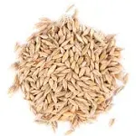 Thunder Acres Barley Seed - Certified Organic - Non-GMO (1 lb)