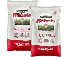 Pennington Rebels Tall Fescue Grass Seed