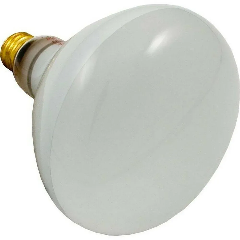 Feit 500-Watt Incandescent R40 Pool &amp; Spa Light Bulb Replaces Pentair 79102100