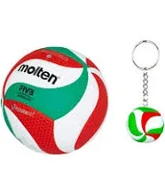 Molten Volley Ball