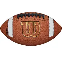 Wilson GST Composite Football