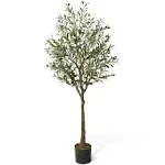 CAPHAUS Green Artificial Olive Tree, Faux Plant in Pot, Faux Olive Branch and Fruit with Dried Moss for Indoor Home Office