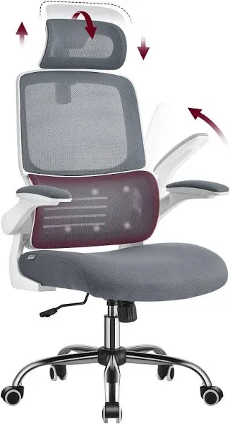 VASAGLE Ergonomic Design High Back Desk Chair