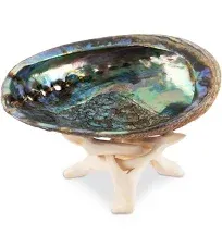 Wish Well Natural Abalone Shell Incense Holder and Sage Smudge Bowl