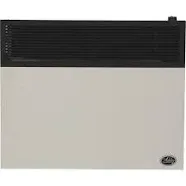 Ashley 25,000 BTU Direct Vent Propane Wall Heater