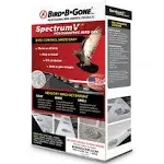 Spectrum V Holographic Bird Gel 24 Pack