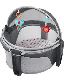 Fisher Price On-The-Go Baby Dome, Windmill