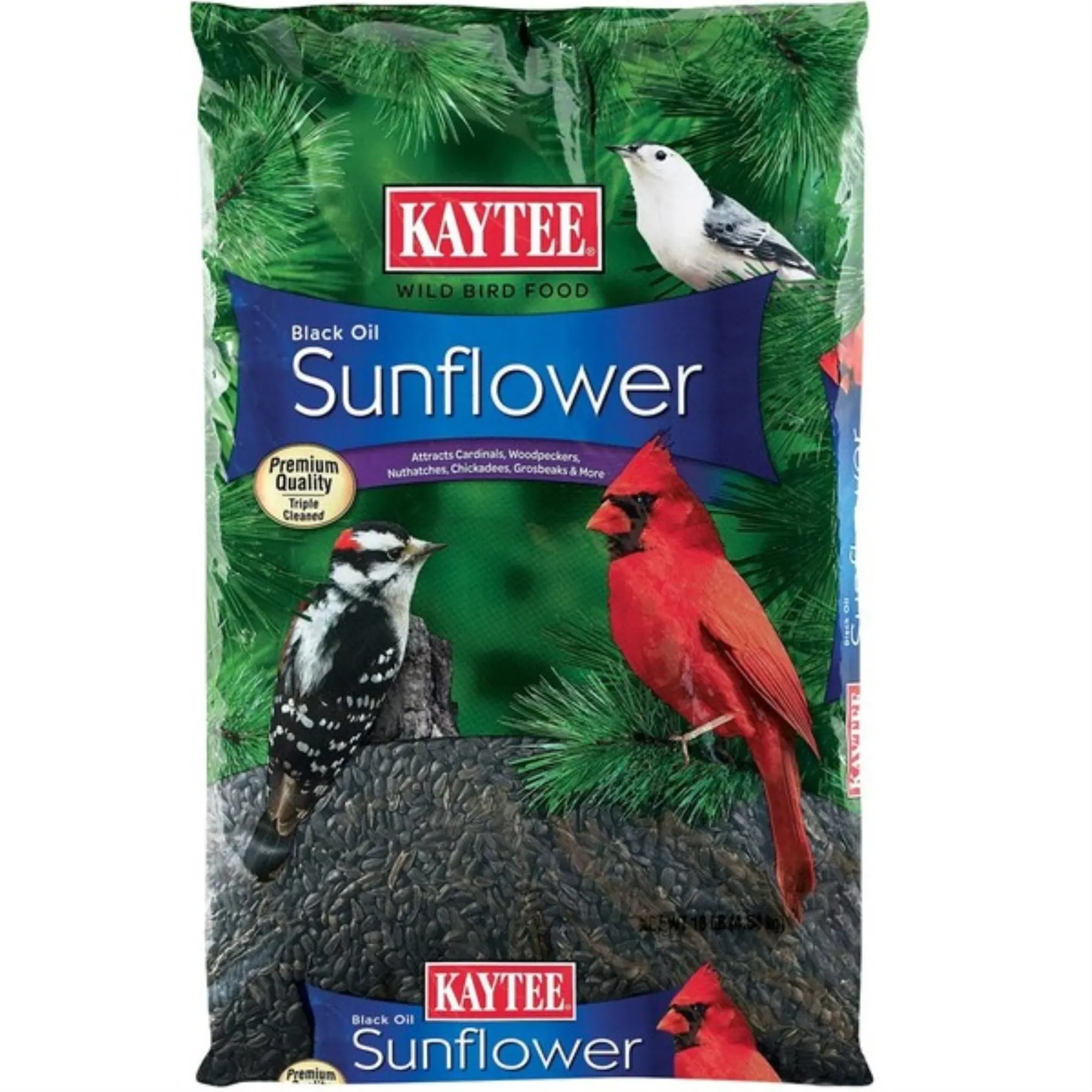 Kaytee Black Oil Sunflower Food 10 lbs