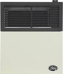 Ashley 11,000 BTU Direct Vent Propane Wall Heater