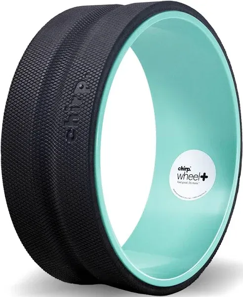 Chirp Wheel 12” Gentle (for a gentle-pressur<wbr/>e stretch)