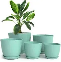 Utopia Home Plant Pots Pack of 5