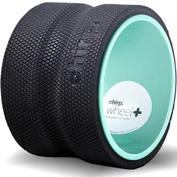 CHIRP 6" Wheel | Foam