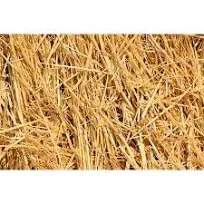 Natural Wheat Straw - 1 LB Dry Straw, Clean and Soft Decorative Straw Bale for Stray Cats Dogs Yard Farm Pets Garden Mulch Grass Cover