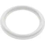 Waterway 711-4030 2" Heater O-Ring/Gasket