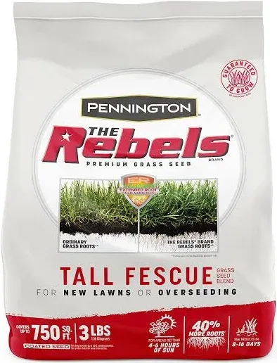 Pennington Rebels Tall Fescue Grass Seed