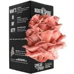 North Spore Organic Pink Oyster Spray & Grow Mushroom Growing Kit