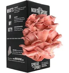 North Spore Organic Pink Oyster Spray & Grow Mushroom Growing Kit