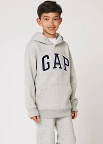 GAP Factory Babygap Logo Hoodie