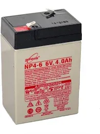 EnerSys / Yuasa - NP4-6 - EnerSys Genesis NP4-6 Lead Acid Battery - For Multipurpose