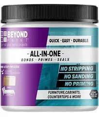 BEYOND PAINT All-in-One Interior/Exterior Acrylic Paint Kit