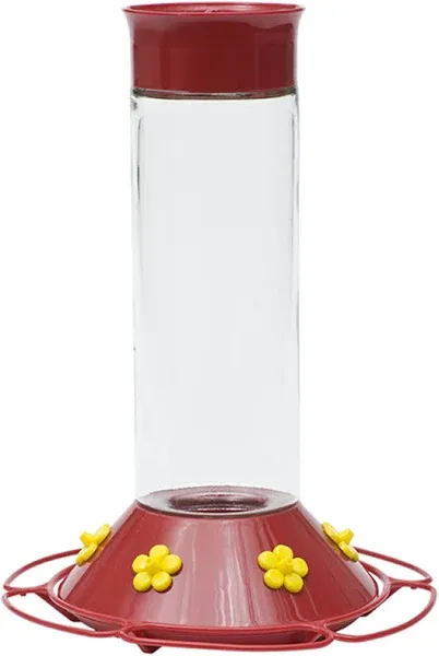 Hummingbird Feeder Wide Mouth Best Red Base Glass Perky Pet 30 Oz. Capacity Red