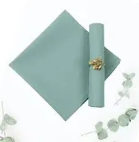 Cloth Napkins Set of 12, 100% Cotton Dinner Napkins,Mint Napkins 12 Sage Green