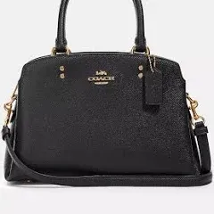 Coach Mini Lillie Carryall