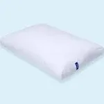 Casper Essential Standard Pillow (Set of 2)