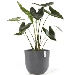 Ecopots Oslo Indoor/Outdoor Modern Recycled Plastic Planter, Taupe, 17.5&#034;