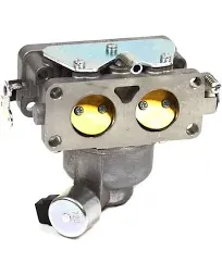 Briggs & Stratton Carburetor 796227