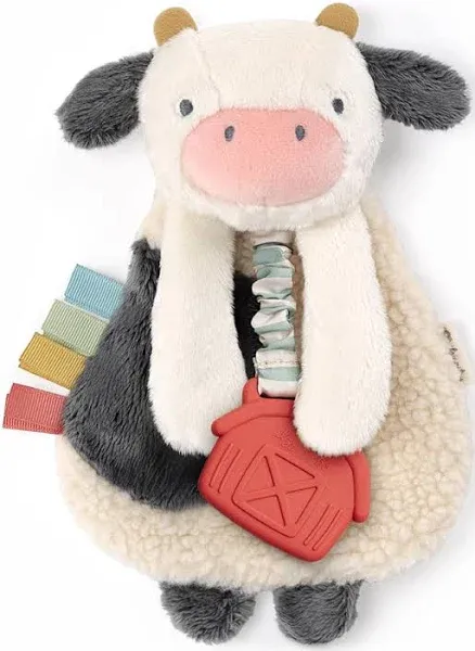 Itzy Ritzy Lovey Plush with Silicone Teether Toy