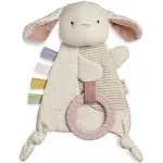 Itzy Ritzy - Bitzy Crinkle Bunny Sensory Toy with Teether