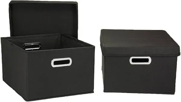 Household Essentials Storage Bins with Lids, 2ct.