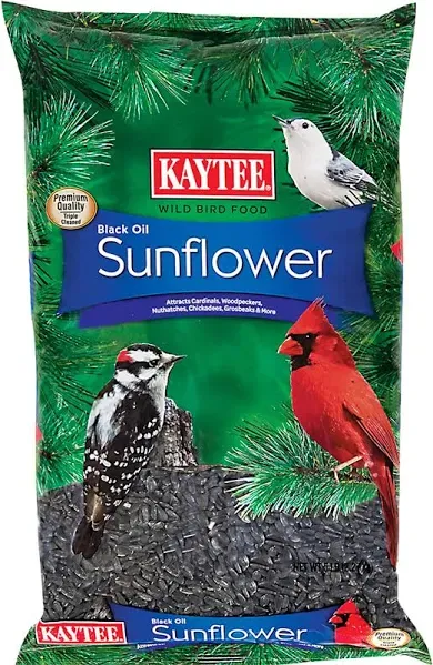 Kaytee Black Oil Sunflower Food