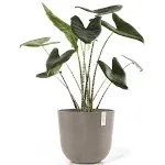 Ecopots Oslo Indoor/Outdoor Modern Recycled Plastic Flower Pot Planter, Taupe, 17.5"