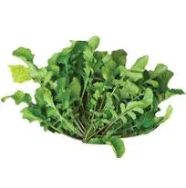 Shop Burpee Arugula Selvatica Organic 4 oz Seeds